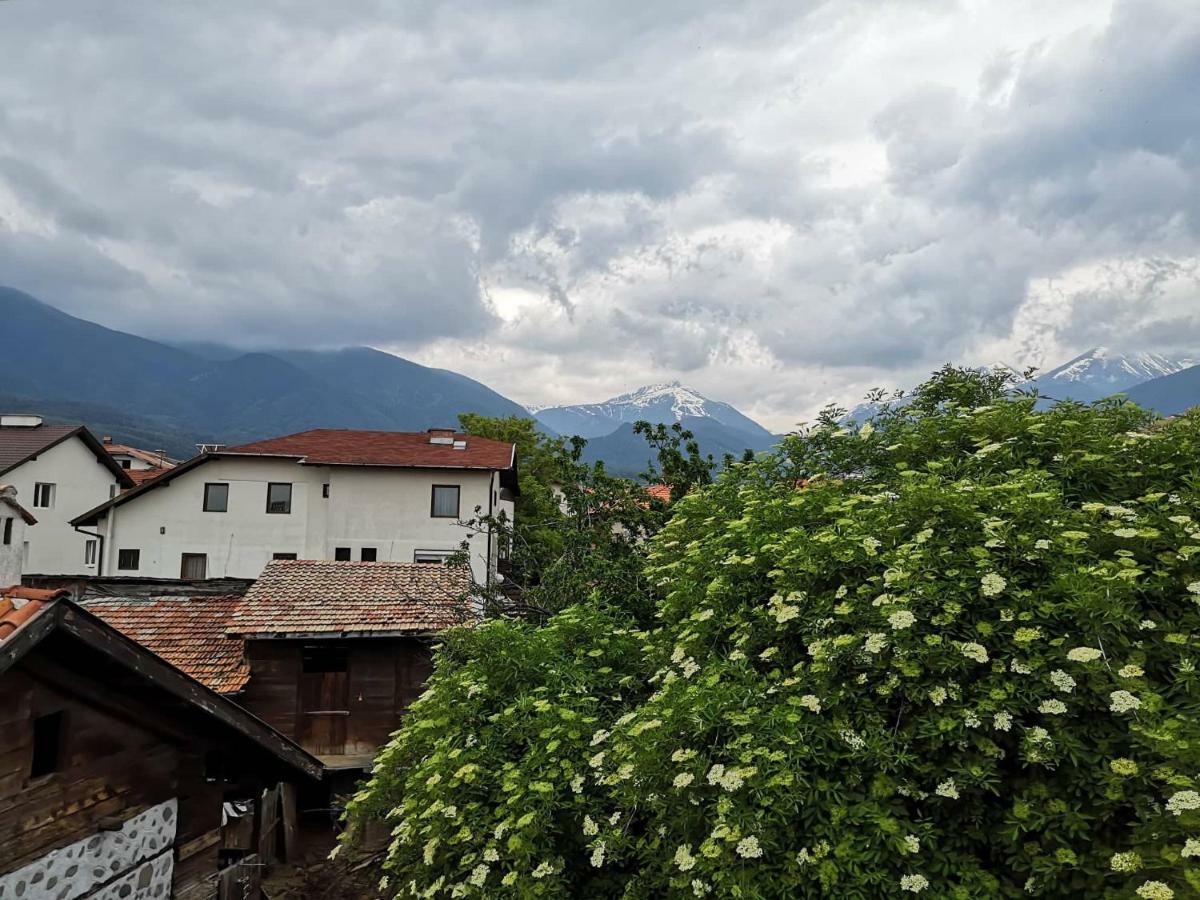 Todeva House Hotel And Tavern Bansko Exteriér fotografie